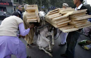 carriage horse right to be utilitarian
