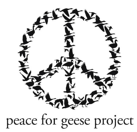 peace for geese