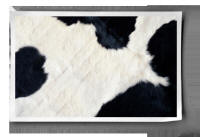 leather byproduct skin Gentle World