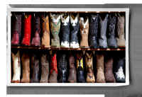 leather byproduct skin Gentle World