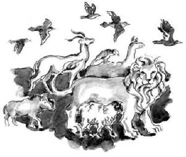 Where the Animals Went