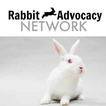 Whole Foods rabbit meat