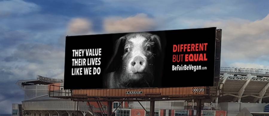 vegan billboards