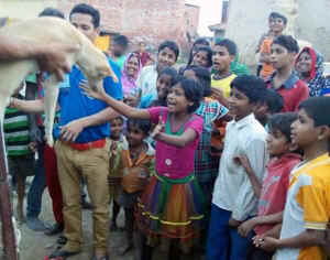 love dogs