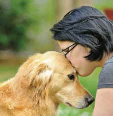 pets domestic violence