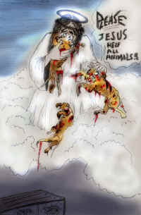 You Can't Have It Both Ways - 015