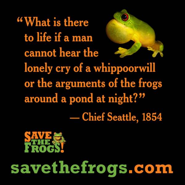 save frogs