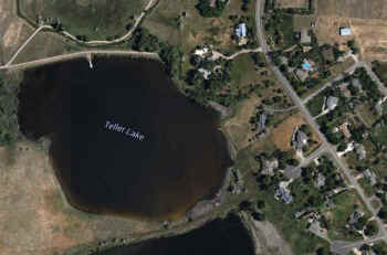 Teller Lake goldfish