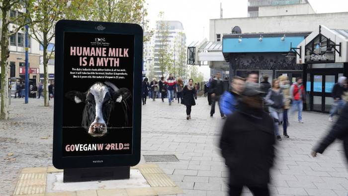 vegan world campaign