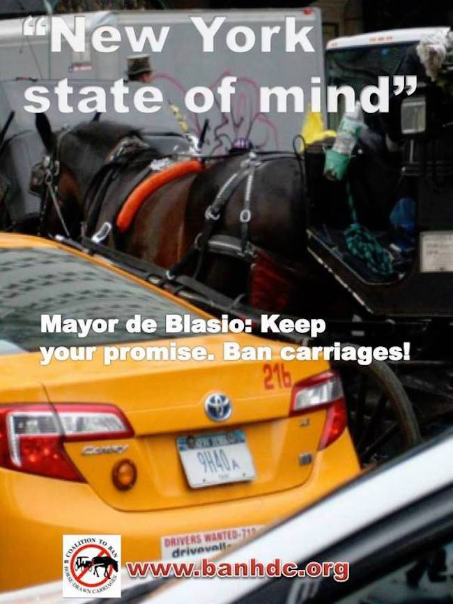 Bill DeBlasio promise
