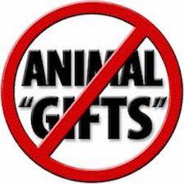 gifting animals