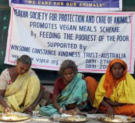 vegan food india