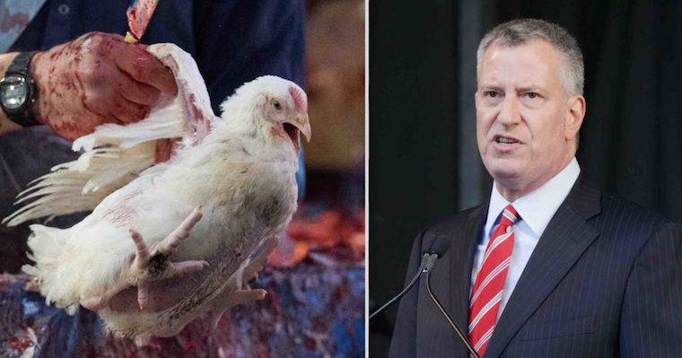 kaporos De Blasio