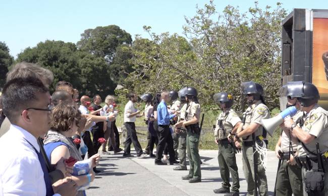 animal rights protest