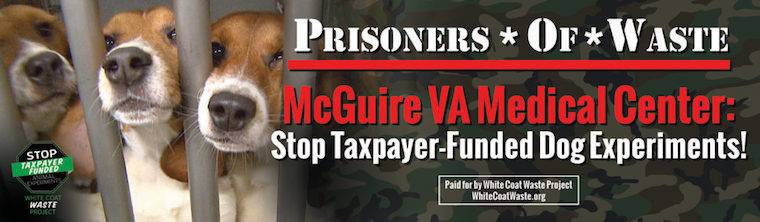 anti-vivisection bus ad