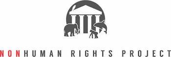 nonhuman rights