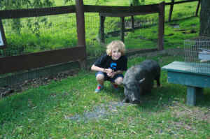 Catskill Animal Sanctuary kindness