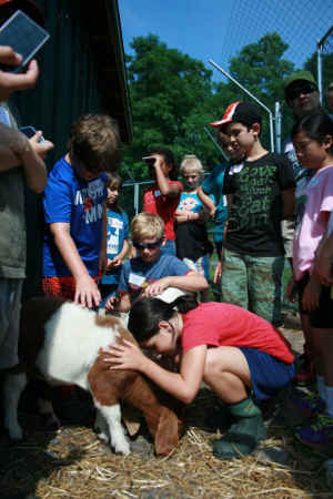 Catskill Animal Sanctuary kindness
