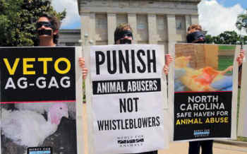 ag-gag vetoed