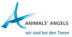 animals' angels