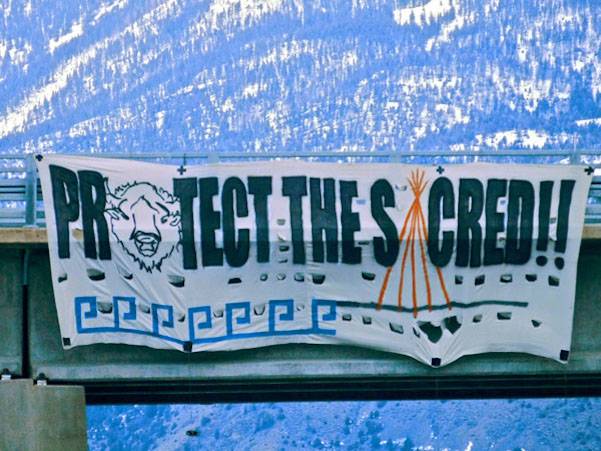 buffalo slaughter banner