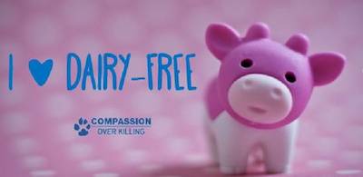 dairy free
