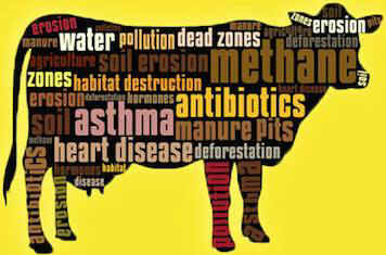 factory farming