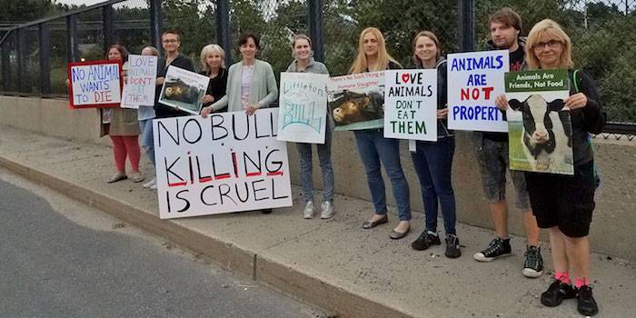 peaceful protest