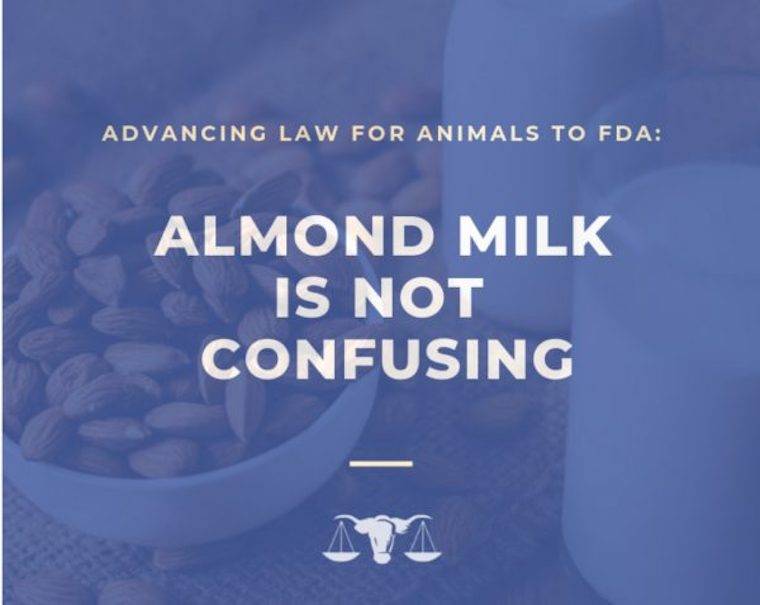 advancing law for animals