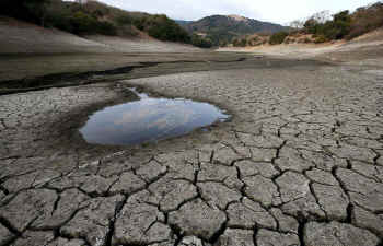 freshwater depletion veganism