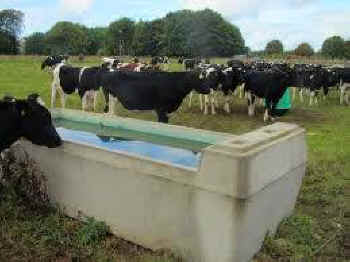 freshwater depletion veganism