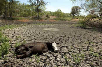 freshwater depletion veganism