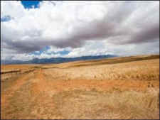 drought cattle ranch