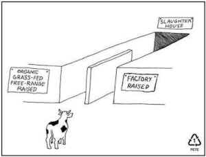 humane meat