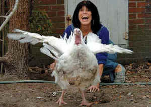 Karen Davis turkey Florence