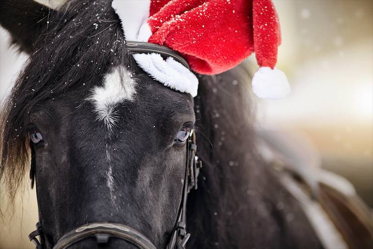 Christmas horse