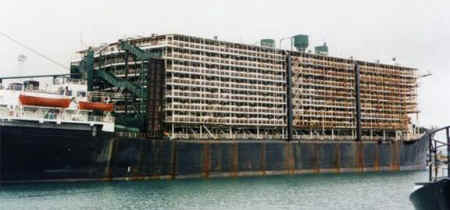 live export