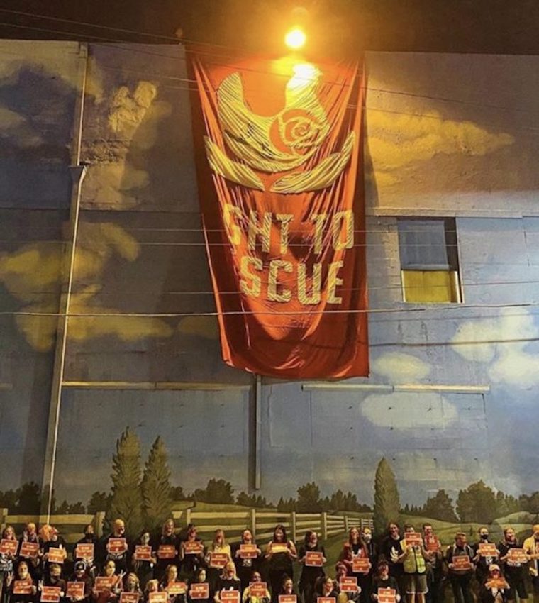 Rose's Law banner
