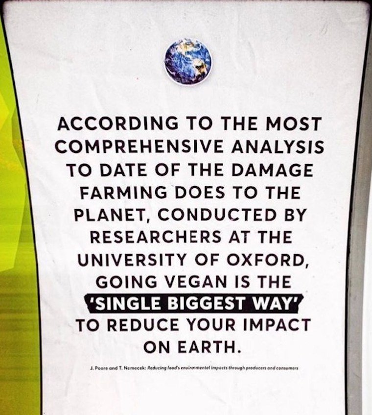 vegan poster