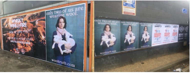Wool posters