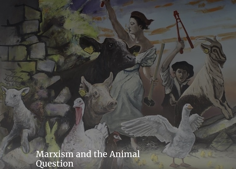 Evolution of Revolution