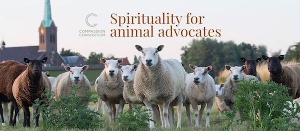 Compassion Consortium