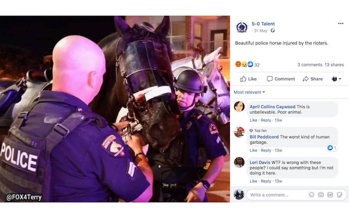 police Horse