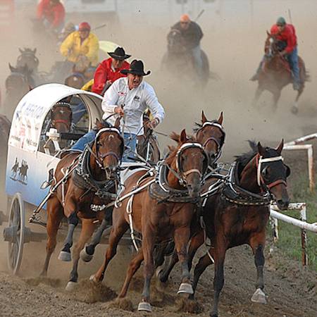 chuckwagon race