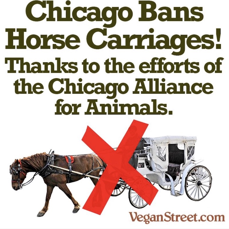 VeganStreet.com