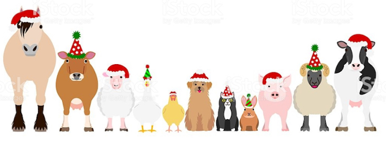 Christmas Animals