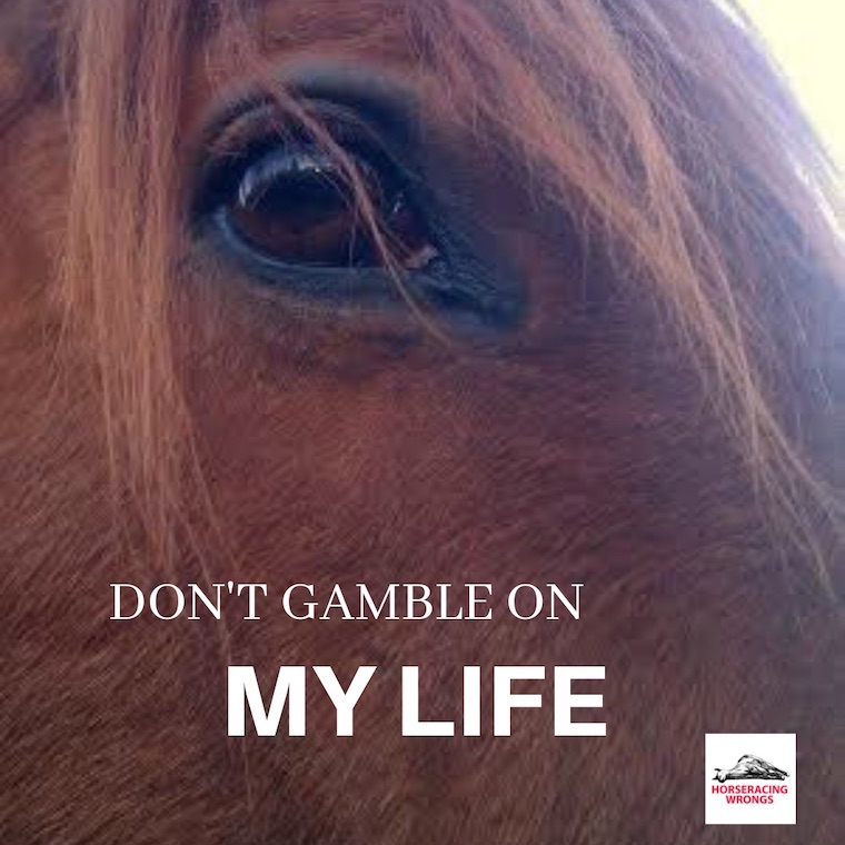horseracing