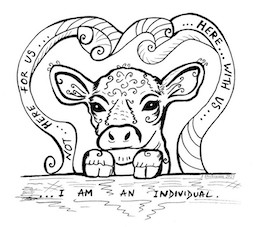 Calf drawing