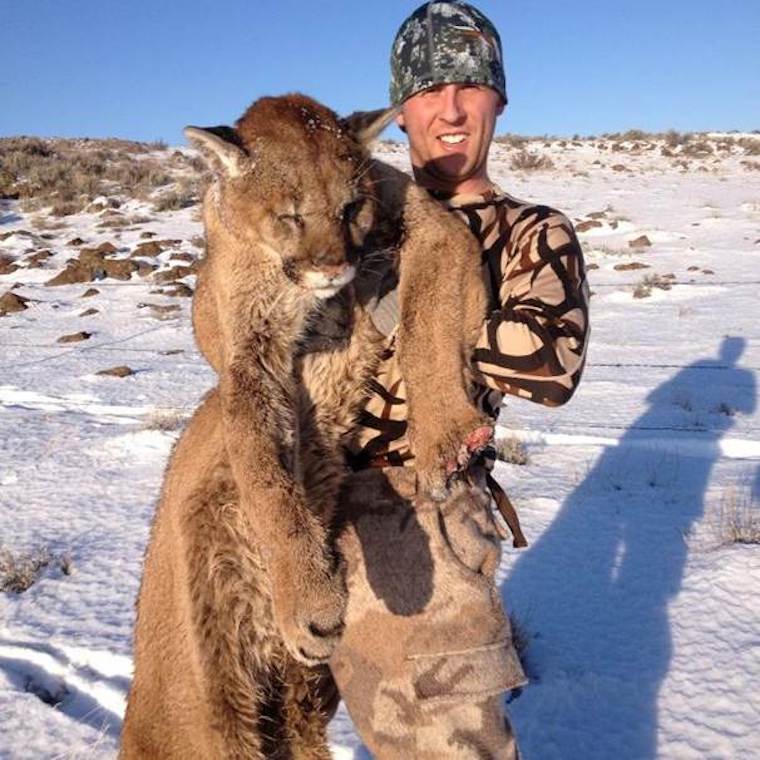 murdered Cougar