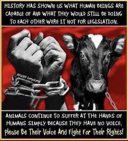 human-animal liberation